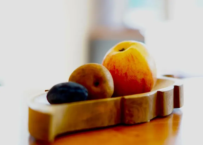 Kayser Διαμέρισμα Freyburg